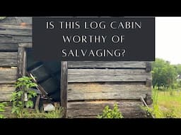 Should I Salvage This Log Cabin? | Find the Perfect Logs For Your Log Home - Handmade House TV #183