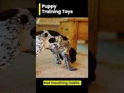 Approved Puppy Toys