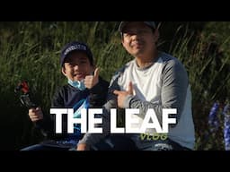 The Leaf