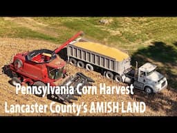 Harvesting Lancaster County's Most Valuable Farm Crop---Lancaster County's AMISH LAND