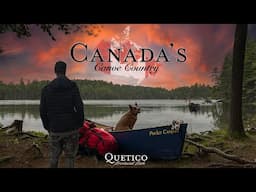 Classic Canadian Canoe trip + INCREDIBLE CLOSE ENCOUNTER with a Moose - Quetico Provincial Park