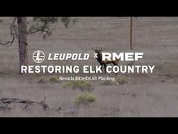 Restoring Elk Country - Nevada Bitterbrush Planting