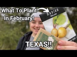 Plant THESE Crops in Texas Right NOW in February!