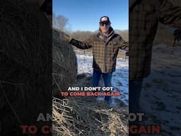 Feed Your Deer And Find Some Sheds #deerhunting #deer #tipsandtricks #hunting #whitetaildeer #shorts