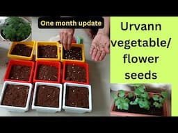 urvann plants seed review with one month  update