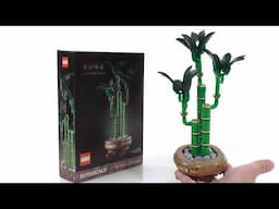 LEGO Botanicals Lucky Bamboo review! Beauty in simplicity | 10344 #NotSponsored