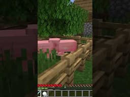 METAMORPH HIDE AND SEEK - dont get caught or die ! #morph #minecraft #mutantmobs