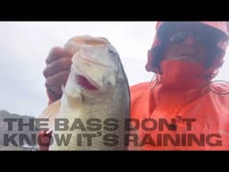 Rainy Day Pre-spawn Bass on Lake Norman