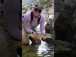 Fly Fishing for Trout & Making Memories!