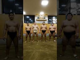 Sumo Wrestling training in Tokyo Japan