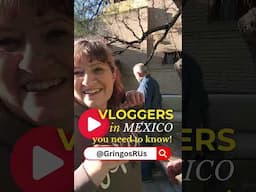 VLOGGERS IN MEXICO YOU NEED TO SUBSCRIBE TO!  2025 Mexico YouTuber Meetup: Working together for you!