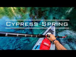 Cypress Spring, A Magical Place