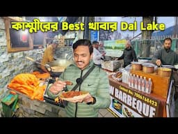 কাশ্মীরের Best খাবার near Dal Lake 😱 Jammu Fish Fry ₹100 টাকায় | Kashmir Street Food near Dal Lake