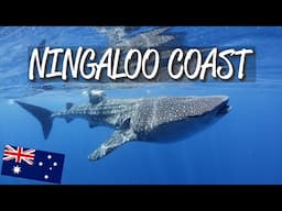 Ningaloo Coast - UNESCO World Heritage Site