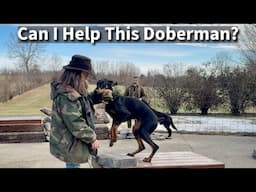 Evaluating A Partially Trained Doberman Pinscher