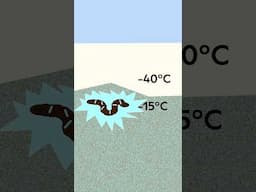 What can survive in Antarctica? #NaturalHistoryMuseum #Cold