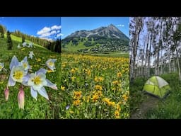 Epic 11-Day Road Trip: Exploring Colorado & Wyoming | Grand Tetons, Yellowstone, Crested Butte