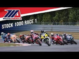 Stock 1000 Race 1 at New Jersey 2024 - FULL RACE | MotoAmerica