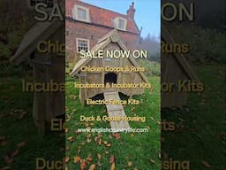 New Year SALE, BIG Savings! UK Online Store #chickens #poultry #hens #chickencoop