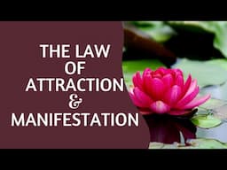 Unveiling the Scientific Secrets: Law of Attraction & Manifestation Explained