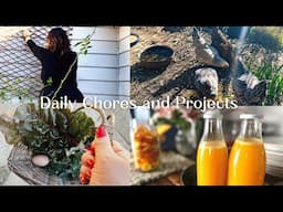 Small Projects on the Homestead | Daily Chores | Simple Living