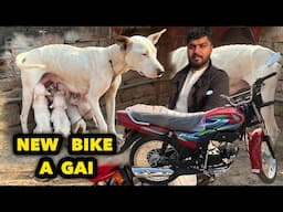 Atnay Saray Gultair Pups Lay Aye | New Bike B A Gai | Punjabi Shok Vlogs