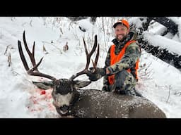 DEEP SNOW & BIG BUCKS / Montana Mule Deer Hunt - Stuck N The Rut 199