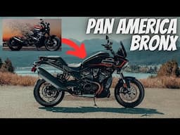 2025 Pan America ST the Harley Davidson Bronx you wanted