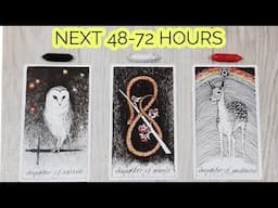 PICK• NEXT 48-72 HOURS ⏰️ WHAT'S HAPPENING FOR YOU 🪄🔮🪞🌈🕊 TIMELESS