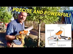 Stihl GTA 26 power pruner, Nice addition to my tools