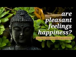 Are Pleasant Feelings Happiness? | Teaching by Thich Nhat Hanh (EN subtitles) #mindfulness