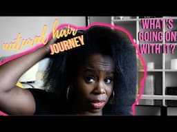 CHANDA'S HAIR JOURNEY Ep. 1 | STARTING POINT... 💇🏾‍♀️