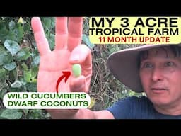 My 3 Acre Tropical Farm Update: Dwarf Coconuts, Wild Cucumbers & More