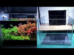 This Is The Best Filtration System For Planted Tank Without CO2 | I Share Here How To Make It