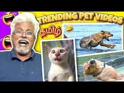 Dad Reacts to Tamil Dubbed Pet Videos 😂🐶| Semma Fun! 💯