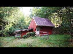 I Turned this Old Stable into a Dream Woodland Tiny House