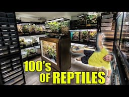 Reptile Room Tour September 2024!! 145+ PET Reptiles and Amphibians!