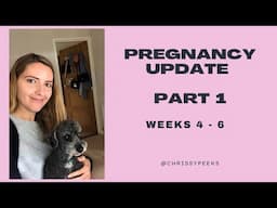 Pregnancy Update Weeks 4 - 6 | HCG Levels | Sickness | Bleeding | Two Week Wait |  IVF | UK |