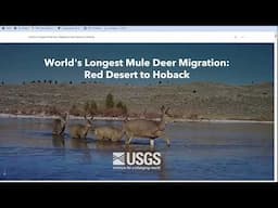 NEW IMMERSIVE STORY MAP BRINGS TO LIFE WORLD’S LONGEST MULE DEER MIGRATION