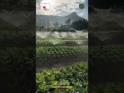 Remote Operated Sprinkler Irrigation System