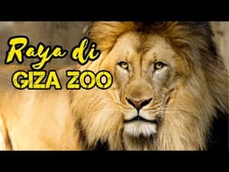 Hari Raya Dengan Haiwan | Giza Zoo