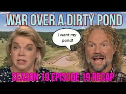 Sister Wives S19 E19 RECAP // Janelle and Meri Lawyer Up, Kody Loves a Pond, Christine's Airbnb