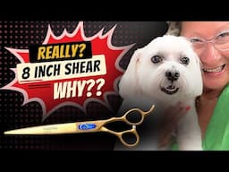 Why are Dog Grooming Shears so BIG?