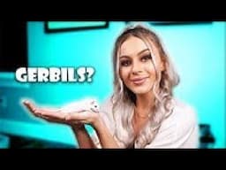 We got Gerbils!! Q+A REUPLOAD