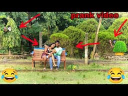 prank video|tree prank comedy