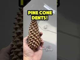 Pinecone vs Tesla: DEEP Paintless Dent Repair #PaintlessDentRemoval #DentRemoval