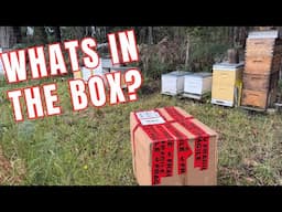 Unboxing a Package from my Sponsor - Hornsby Beekeeping Supplies #bees