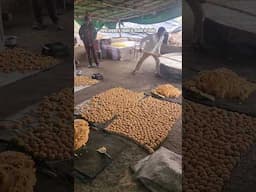 Do you eat Jaggery? #howitsmade #food #india #shorts #viralvideo #bhaktipatel #youtubeshorts #street