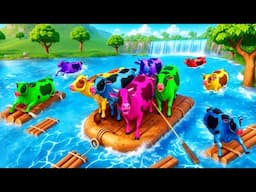 The Great Escape: Color Cows Fleeing Floods in a Heartwarming Rescue!