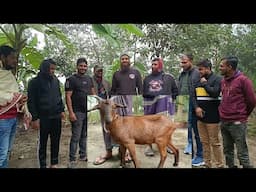 Full GOAT COOKING with Village Friends | গ্রামের ভাই-বন্ধুদের নিয়ে আস্ত খাসি রান্না করে খাইলাম!🦙